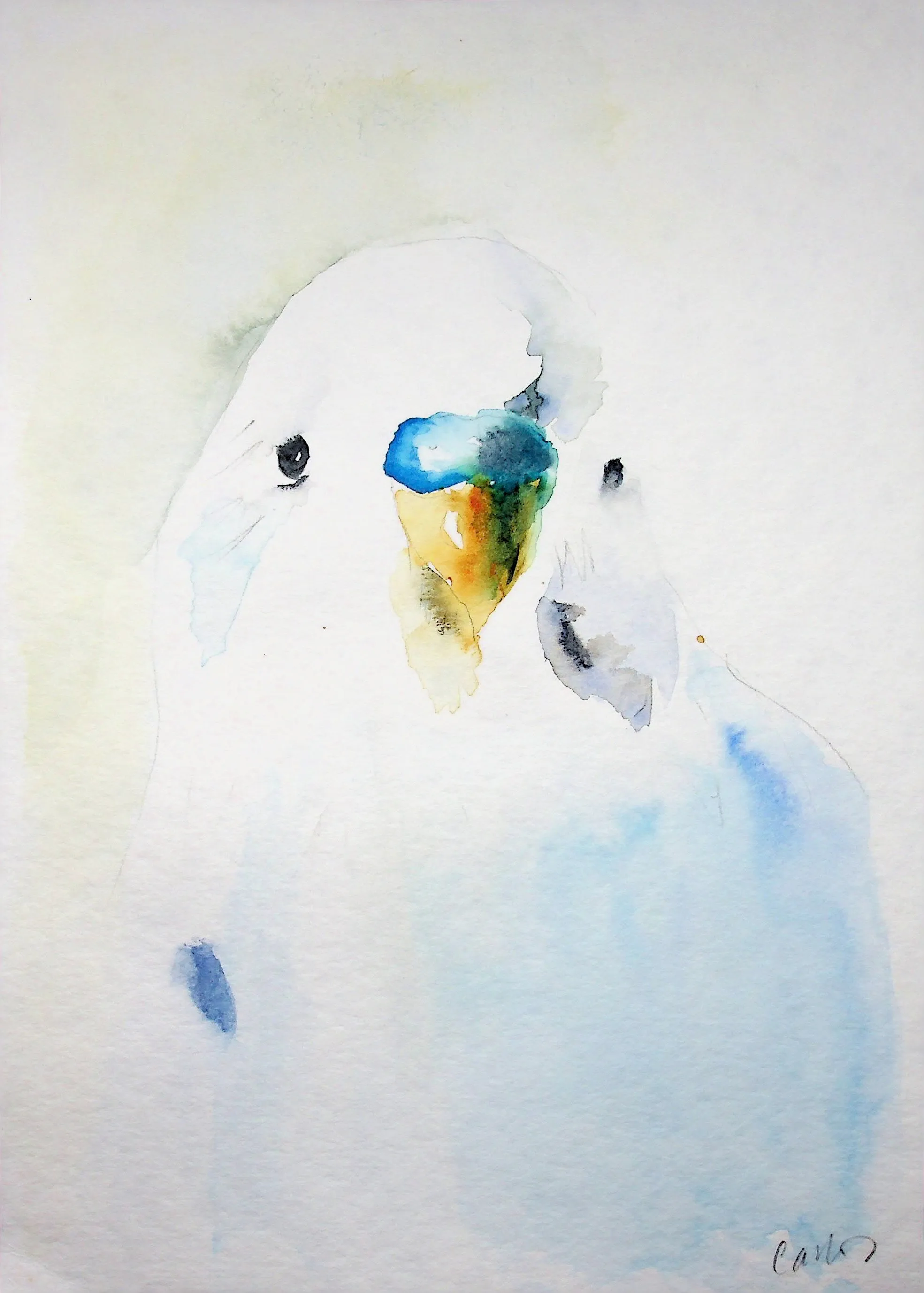 Counsellor therapy service